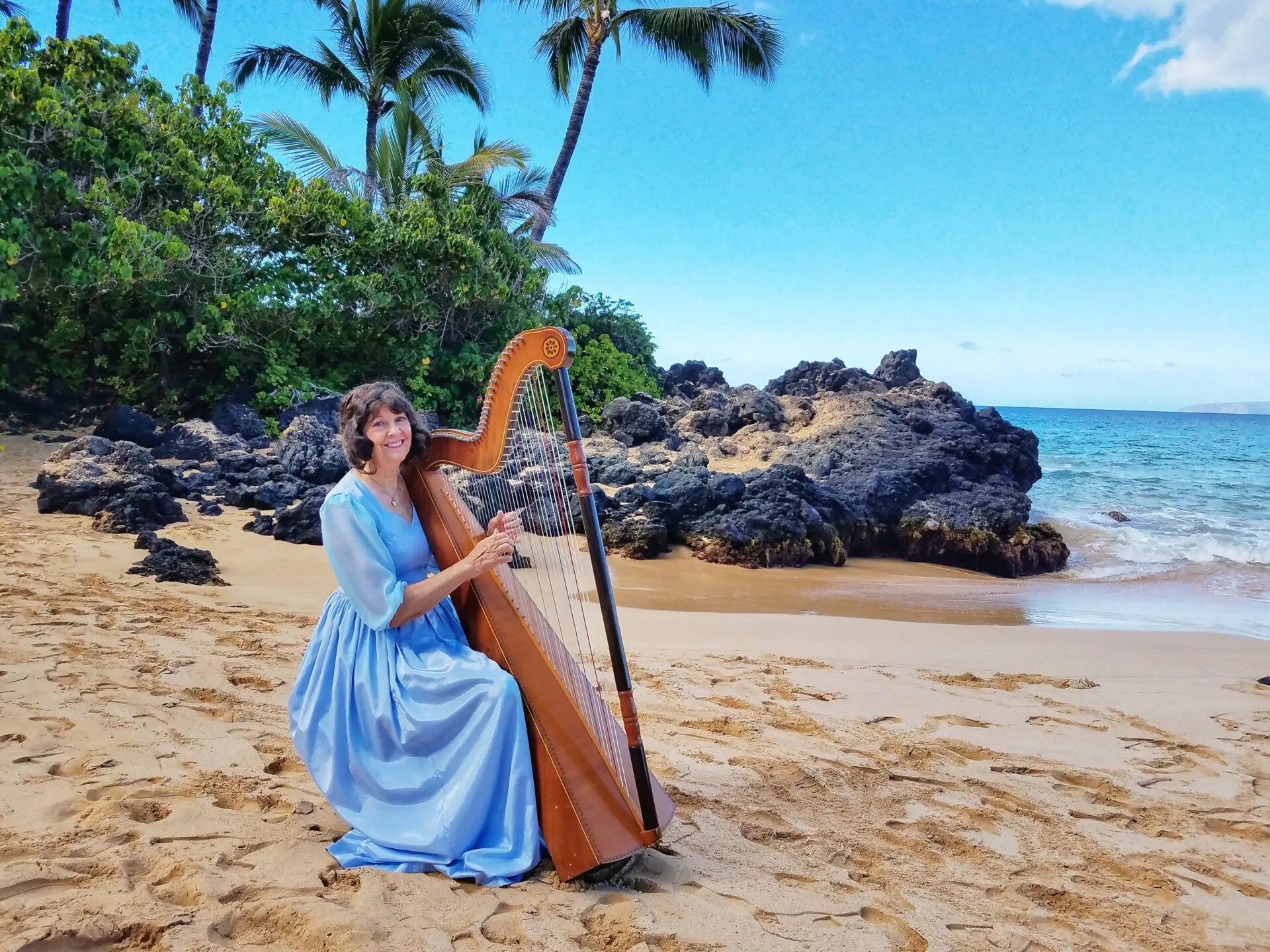 A Musician With The Harp Near The Beach