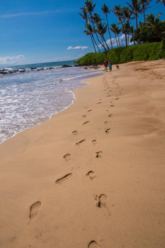 Footprints along a sandy beach with ocean waves.
