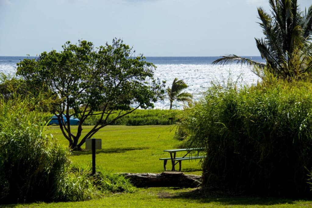 A wooden bench on a grassy hill overlooking a body of water.