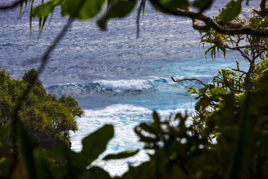 Ocean waves crashing near a rocky shore, framed by leaves.