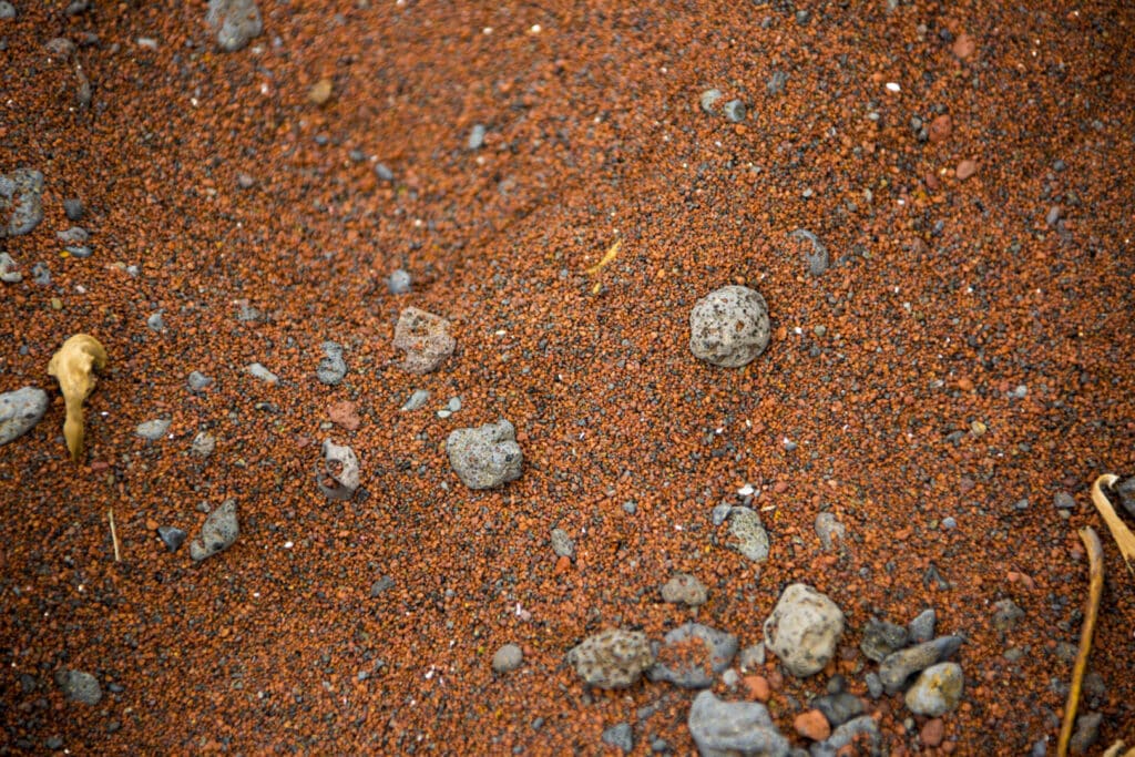 Close-up of a rocky, reddish-brown soil surface with scattered stones.