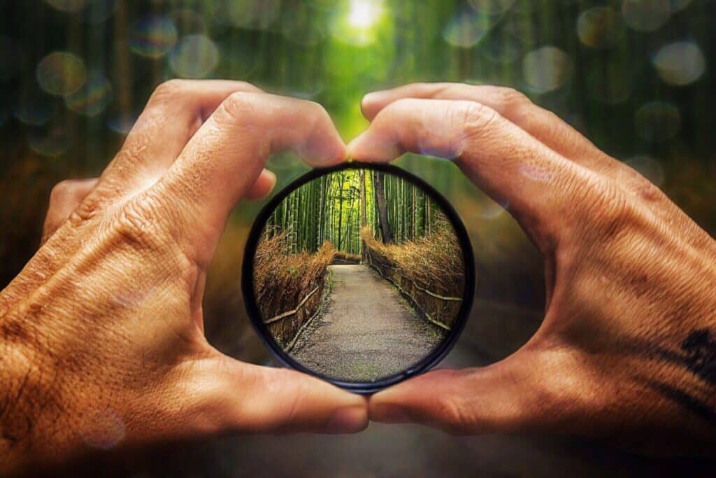 Hands holding a circular lens focusing on a wooden path in a forest.