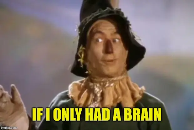 A character from The Wizard of Oz with the caption 'If I only had a brain'.