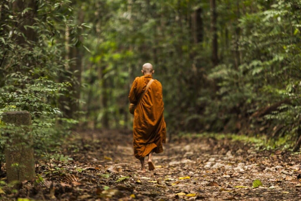 A monk in an orange robe walks through a forest path.