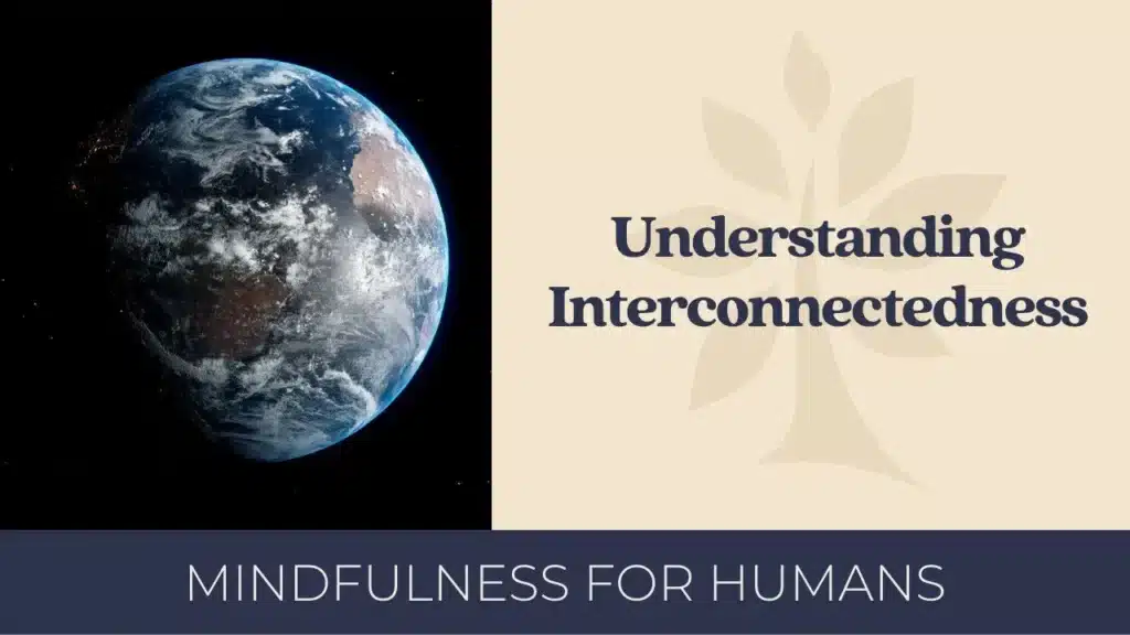 A globe on the left with 'Understanding Interconnections' text on the right.