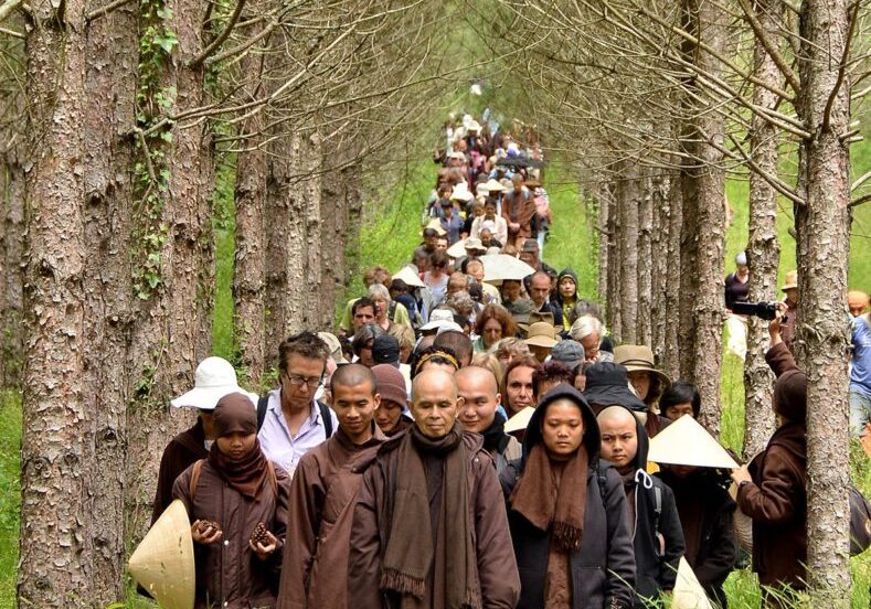 Thich-Nhat-Hanh-walking-meditation-through-pines-legendary-path-son-ha-2014