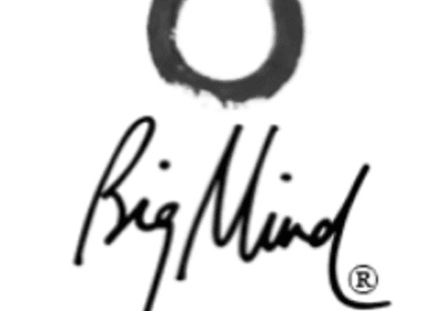big-mind-3