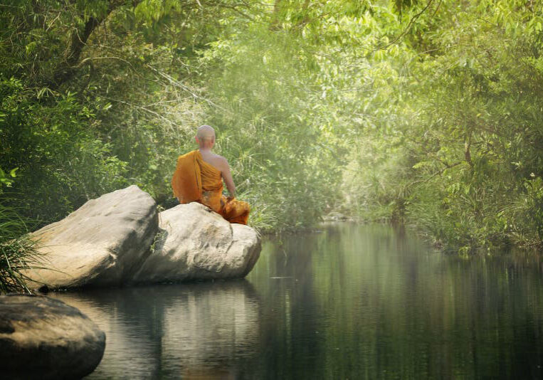 buddha-monk-practice-meditation-forest-1