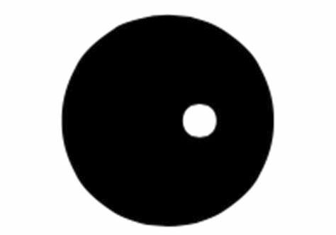 circle-with-white-dot